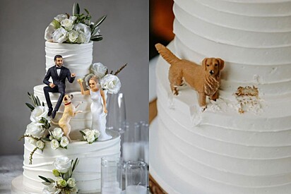 Veja 10 ideias incríveis de bolos de casamento decorados com pets.