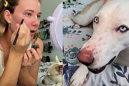 Jovem se inspira em rostinho de cachorro para criar maquiagem.