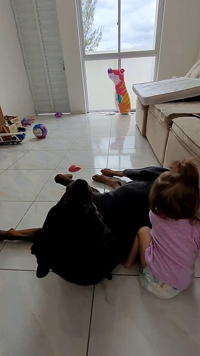 O cão percebe o carinho das crianças por ele.