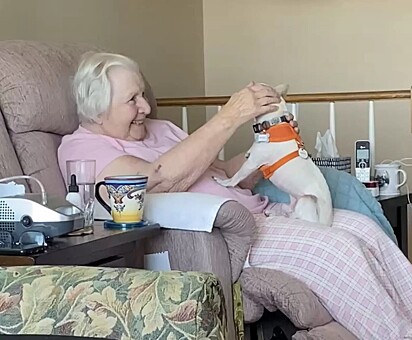 Eu sabia que Johanna tinha que ser uma amante de cães muito especial para estar em busca de um novo amigo peludo antes de completar 101 anos.