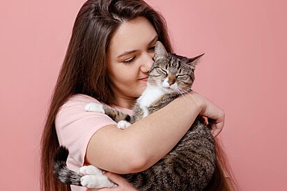 Conhecer a linguagem dos gatos ajuda a manter uma amizade ainda mais forte com seu bichano.