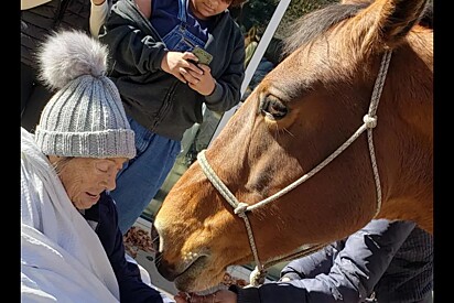Paciente em fase terminal tem seu último desejo atendido ao tocar seu animal favorito: um cavalo.