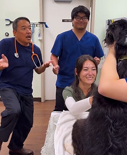 Os profissionais desenvolveram uma tática genial para acalamar cães nervosos durante atendimento.