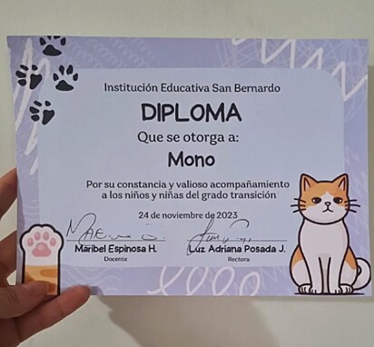 O diploma de Mono.