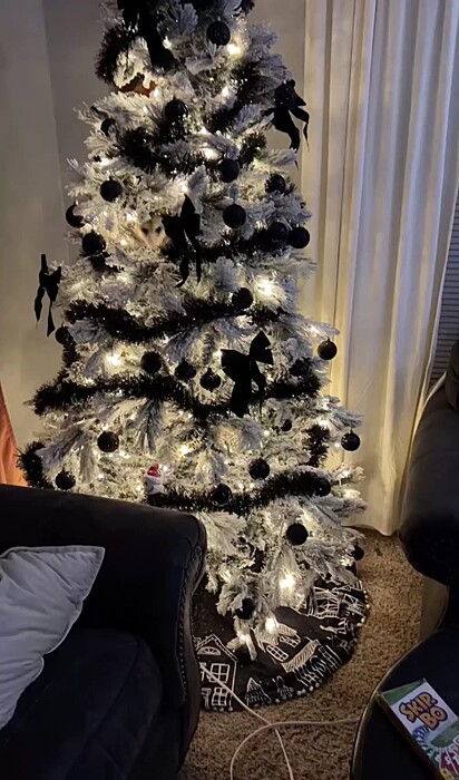 Desafio: você consegue encontrar o gambá escondido na árvore de Natal?