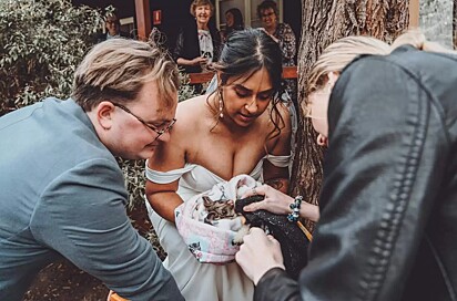 A noiva verificando como estava o animal.