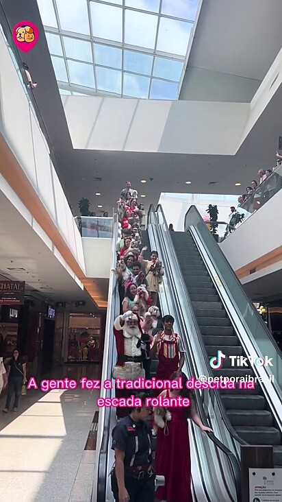Visitantes do shopping pararam o passeio para ver a descida na escada rolante.
