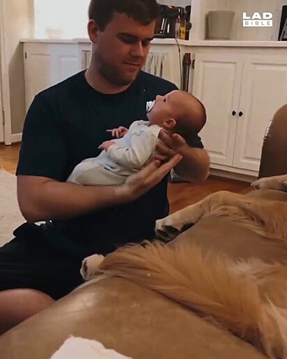 O pai colocando o bebê ao lado do cachorro.