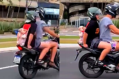 Cachorrinha é vista andando de moto com o tutor em uma mochilinha canguru.