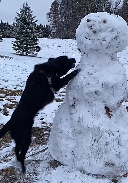 Stella destruindo um boneco de neve.