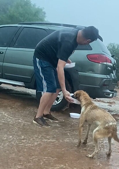 Marcio alimentando os cães abaixo de chuva.