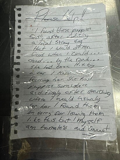 Bilhete que o morador de rua escreveu para a equipe do abrigo de animais.