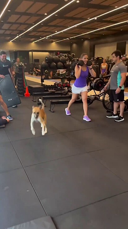 O cachorro colocou um pouco de adrenalina no treino dos alunos.