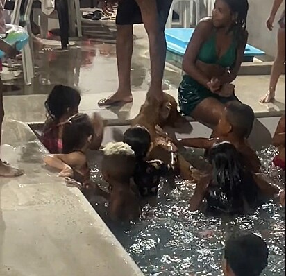 Apollo na piscina com as crianças.