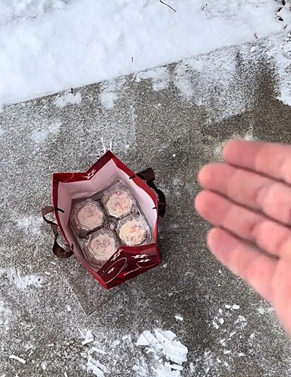 A confeitaria enviou outra sacola de cupcakes.