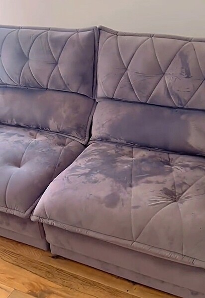 Zeca molhou o sofá.