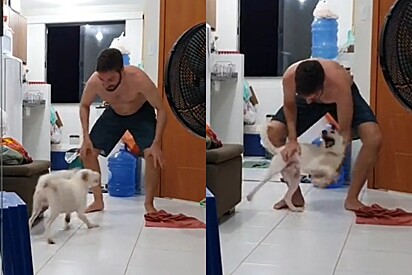 Mulher flagra como seu namorado trata cachorro que ele não queria.
