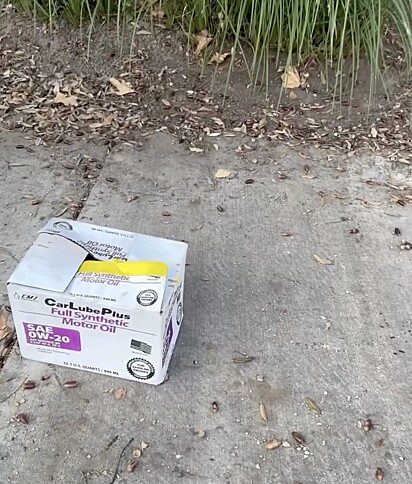 A mulher avistou uma caixa de papelão no meio da calçada.