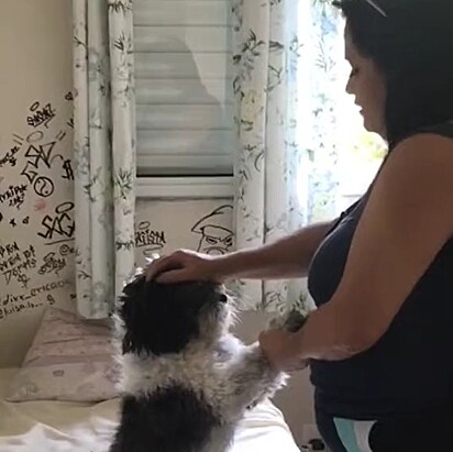 A mãe da Letícia orando pelo cachorro.