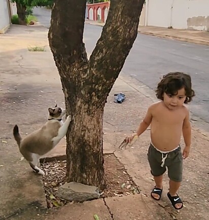 O gato passeando na rua ao lado da criança.