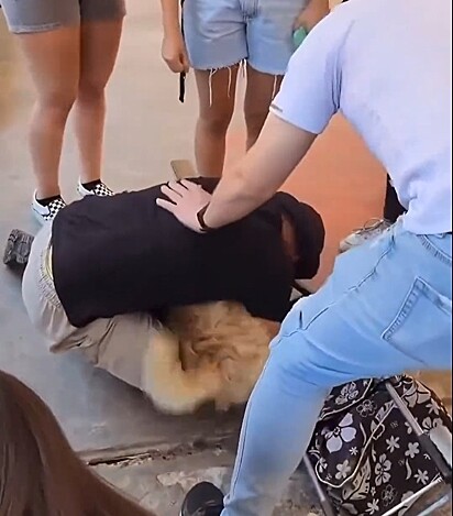 Emocionado ao rever o pet, o jovem se ajoelhou no chão para acariciá-lo.