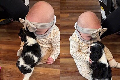 A dupla tem um Tik Tok para registrar o crescimento em conjunto.