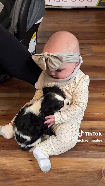 A bebê aceitou a interação com o cãozinho.