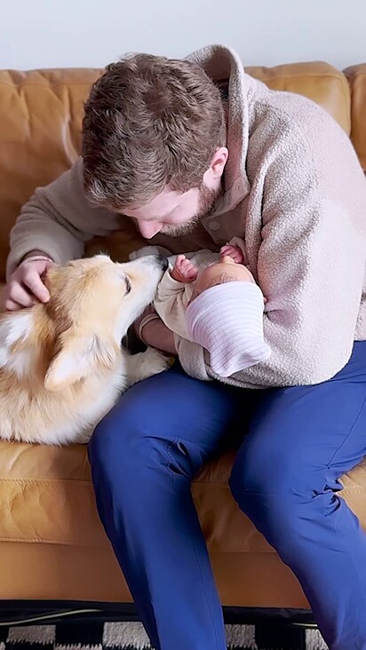 A cachorrinha amou o irmão.