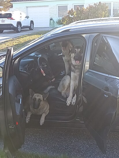O trio no carro de Kendra.