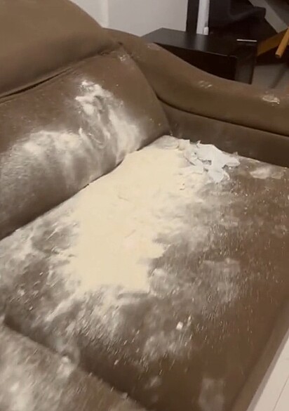 O sofá foi repaginado com a arte das cachorrinhas.