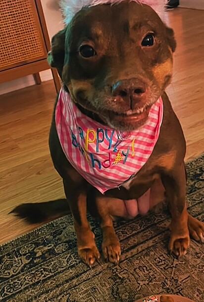 Kona teve a melhor reação possível ao descobrir que ganhou uma festa de aniversário surpresa.