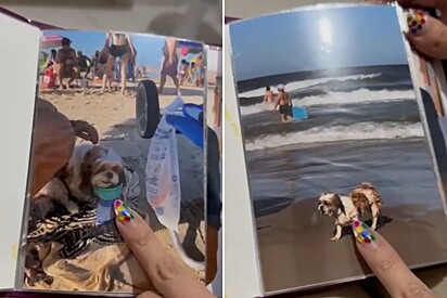 Filha recebe álbum de férias que seus pais criaram para seu cachorro - e o resultado não poderia ser mais fofo