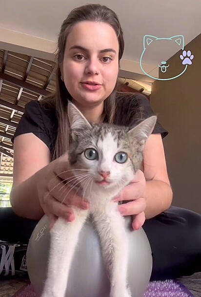A gatinha, chamada Judith, foi salva pela médica veterinária Bianca Tiradentes.
