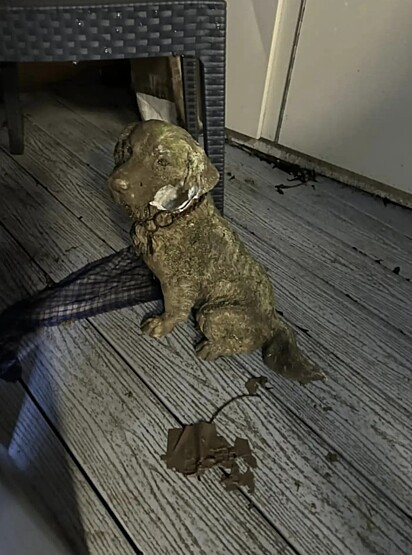 A estátua de cachorro suja de barro.