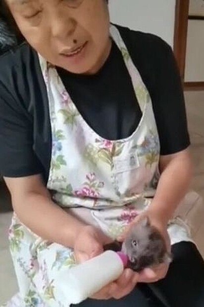 Hu Nan alimentando o filhote.