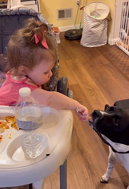 Com todo o cuidado e delicadeza, a mocinha divide o jantar com o seu melhor amigo.
