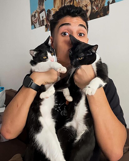 Rapha Gomes com seus dois gatinhos adotados.