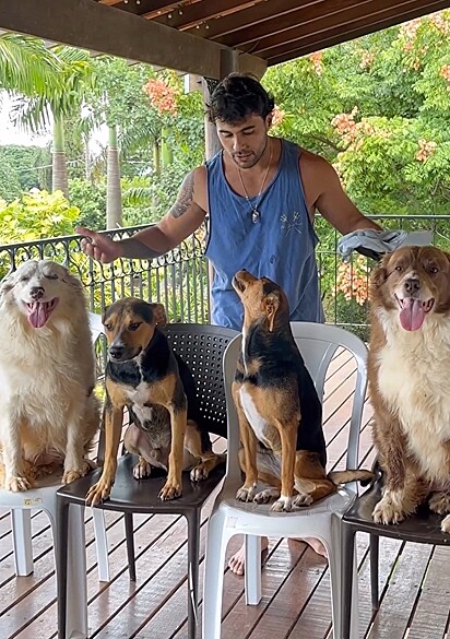 Leo em reunião com seus quatro cães.