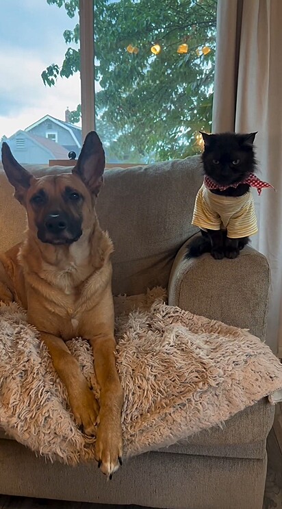 Hoje, os dois são melhores amigos.