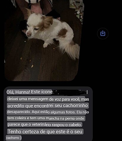 Mensagem que Hannah recebeu sobre o aparecimento da cachorrinha.