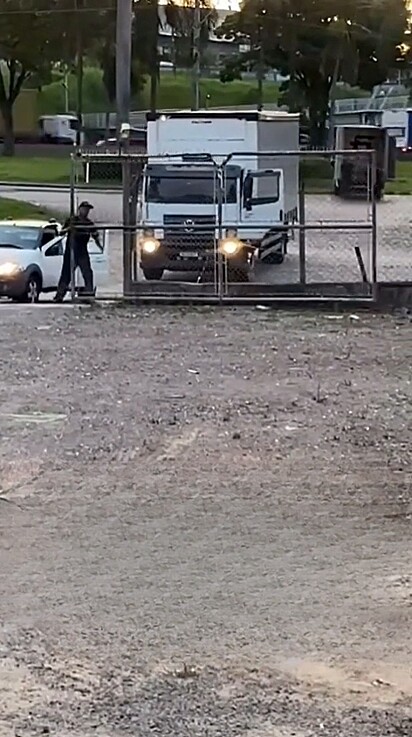 Imediatamente o motorista abriu a porta para o gatinho entrar.