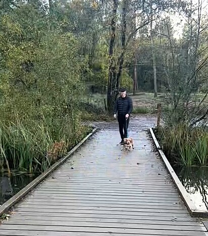 O cachorro Rupert adora pular durante as caminhadas.