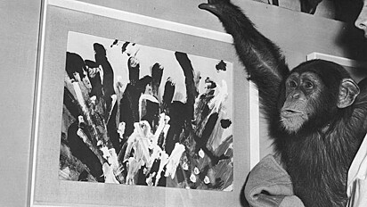 O chimpanzé Congo, nascido em 1954 em um zoológico de Londres, foi considerado um grande artista. 