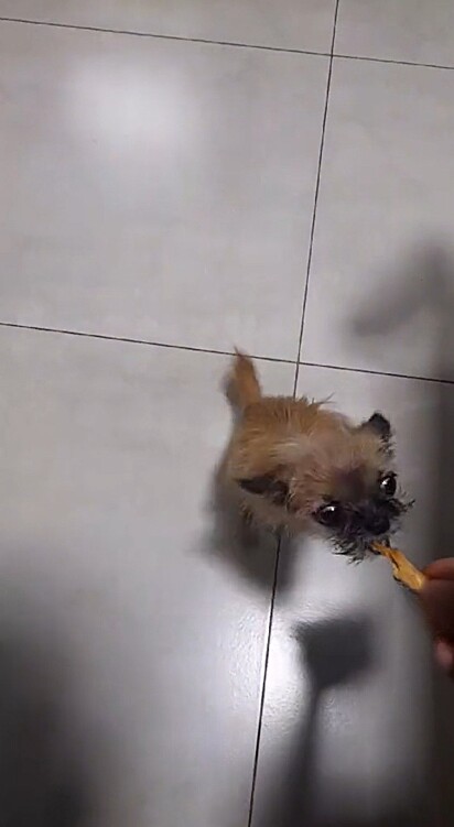 “É muito pidão essa coisinha aí”.