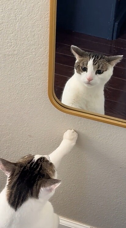 Aos cinco anos, Butters teve pela primeira vez uma reação incomum ao se ver no espelho.