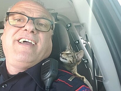 O policial aproveitou para tirar algumas fotos com o gatinho.