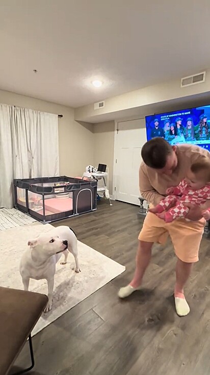 O bebê e o cão são filmados interagindo e o resultado é o melhor.
