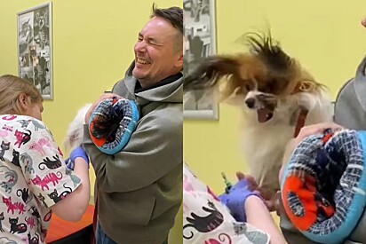Homem começa a perder as forças ao segurar cão para veterinária cortar unha, e o pior acontece.