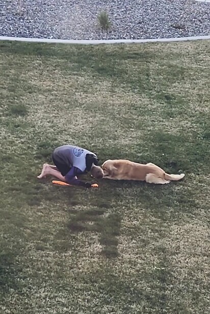 O vizinho de Abby brincando com Macho.