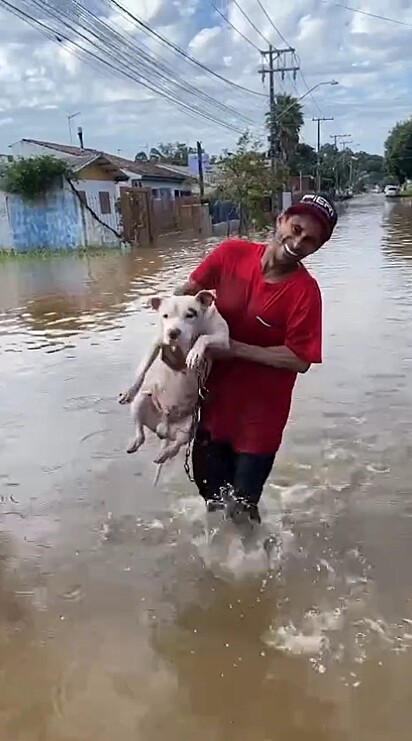 Mesmo fora dágua, o cão continuou nadando, devido ao trauma causado pelas enchentes.